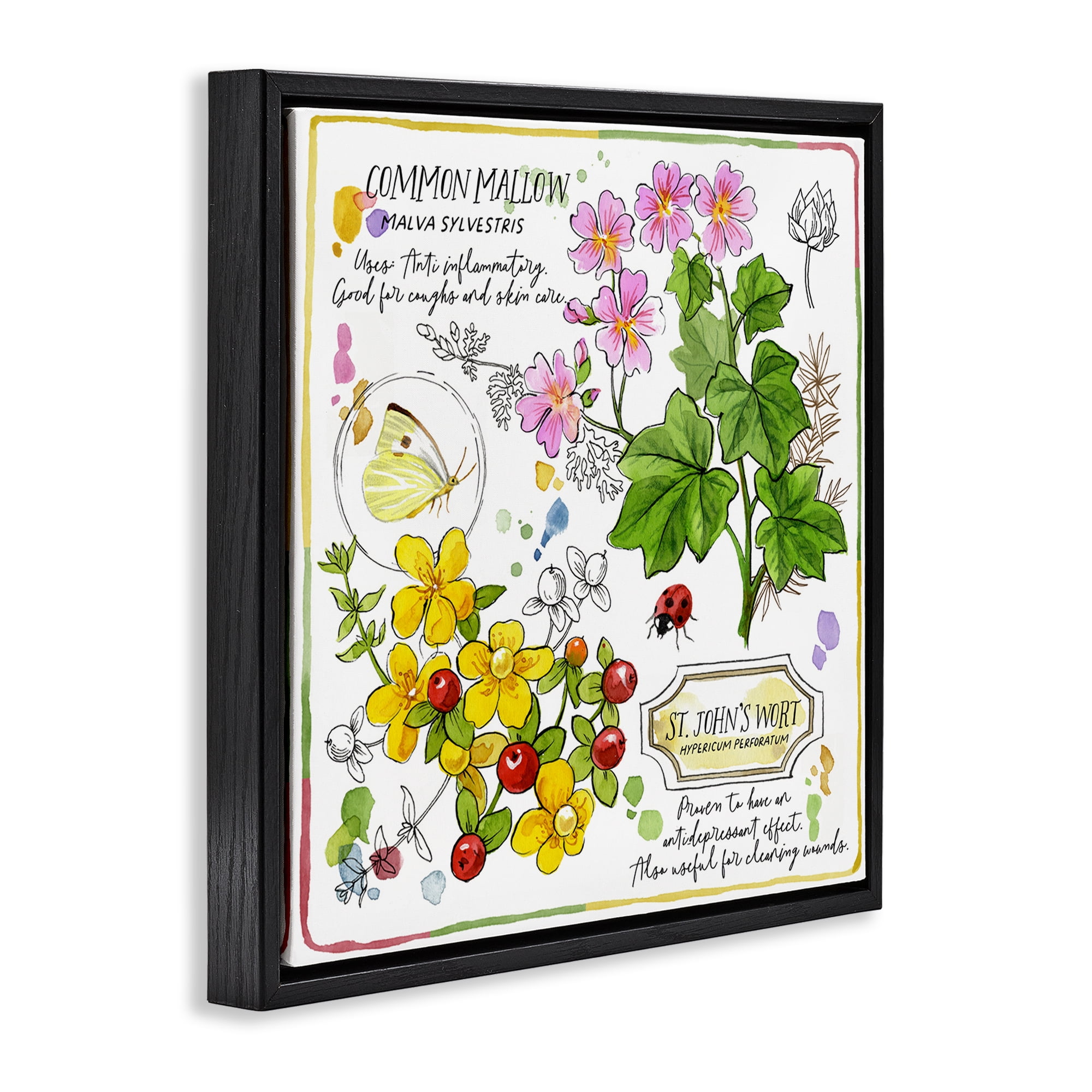 Stupell Industries Wild Herbs Benefits Plants & Flowers Painting Black Floater Framed Canvas Art Print Wall Art, 18 x 18