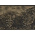 thumbnail image 1 of Peint Noir Beige Sauvage Chatons Léopard Animaux Papier Peint Frontière Conception Retro, Rouleau 15' x 10.25'', 1 of 3