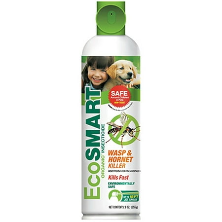 2PK Ecosmart 9 OZ Aerosol Wasp & Hornet Killer 18' Jet Spray To Safely Reach (Best Wasp Nest Killer Spray)