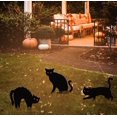 thumbnail image 3 of Décorations d'Halloween Extérieures, Panneaux de Silhouette Black Cat pour Jardin, 3 of 5