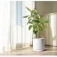 thumbnail image 6 of 12 Inch Ceramic Planter Pot with Drainage Hole and Saucer, Indoor Cylinder Round Planter Pot, White, 94-O-F-1, 6 of 6