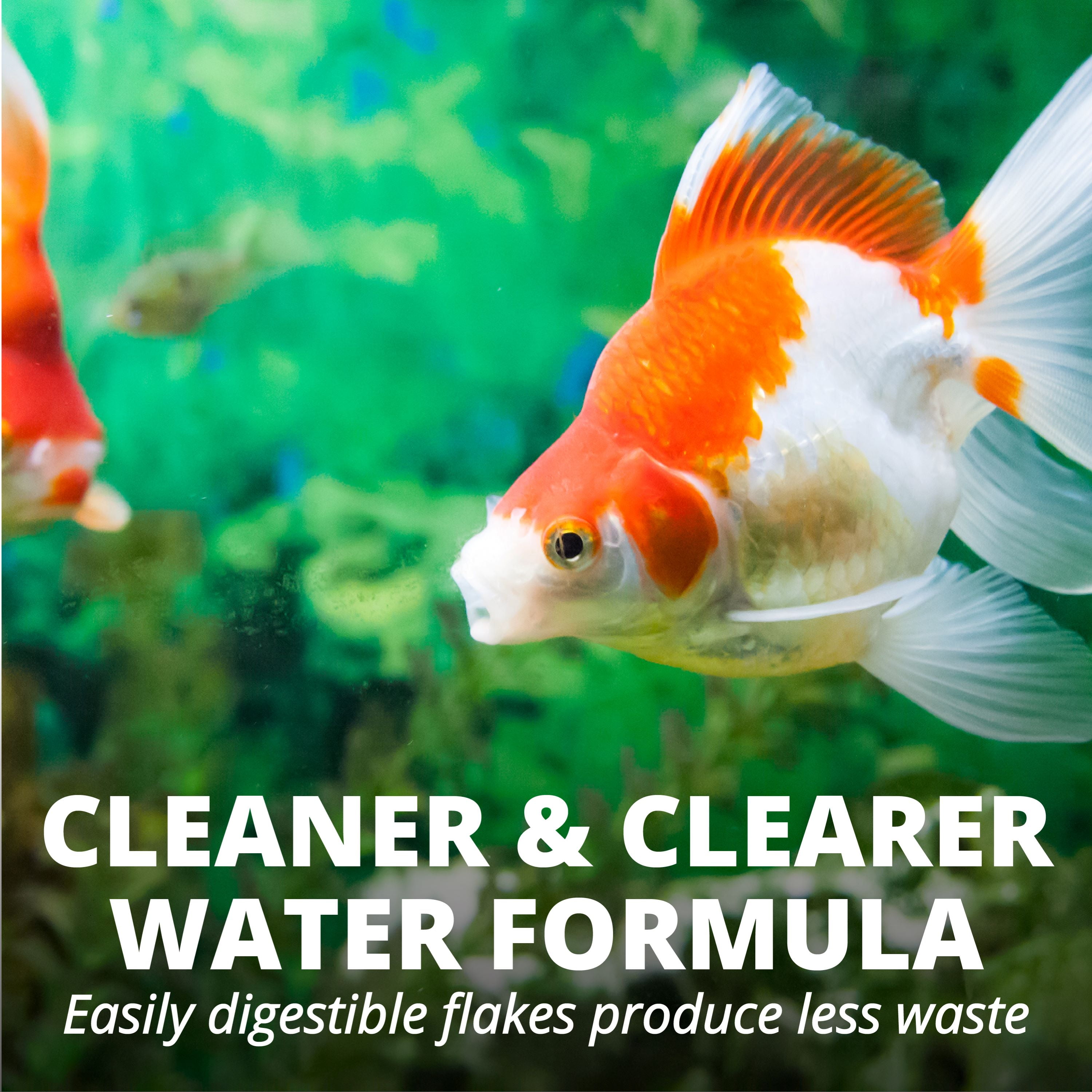 (4 pack) Tetra Goldfish Flakes, Balanced Diet Fish Food, Clear Water Formula, 1 oz.