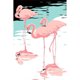 thumbnail image 1 of Cuadros Decorativos Pintura por números flamencos dibujo pintado a mano imagen Digital decoración del hogar Tmvgtek embutido en tela, 1 of 9