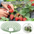 thumbnail image 2 of QNWJ Strawberry Plant Supports Cages Climbing Trellis Frame Holder 10pcs, 2 of 5