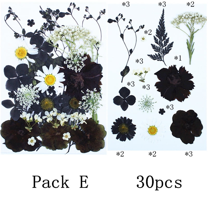 Dalrosia Black Dried Pressed Flowers for Resin Molds, Bulk Real Natural Dry Floral for DIY Art Crafts, Epoxy Jewelry, Candle, Nails Decor, Phone Case,Soap Making