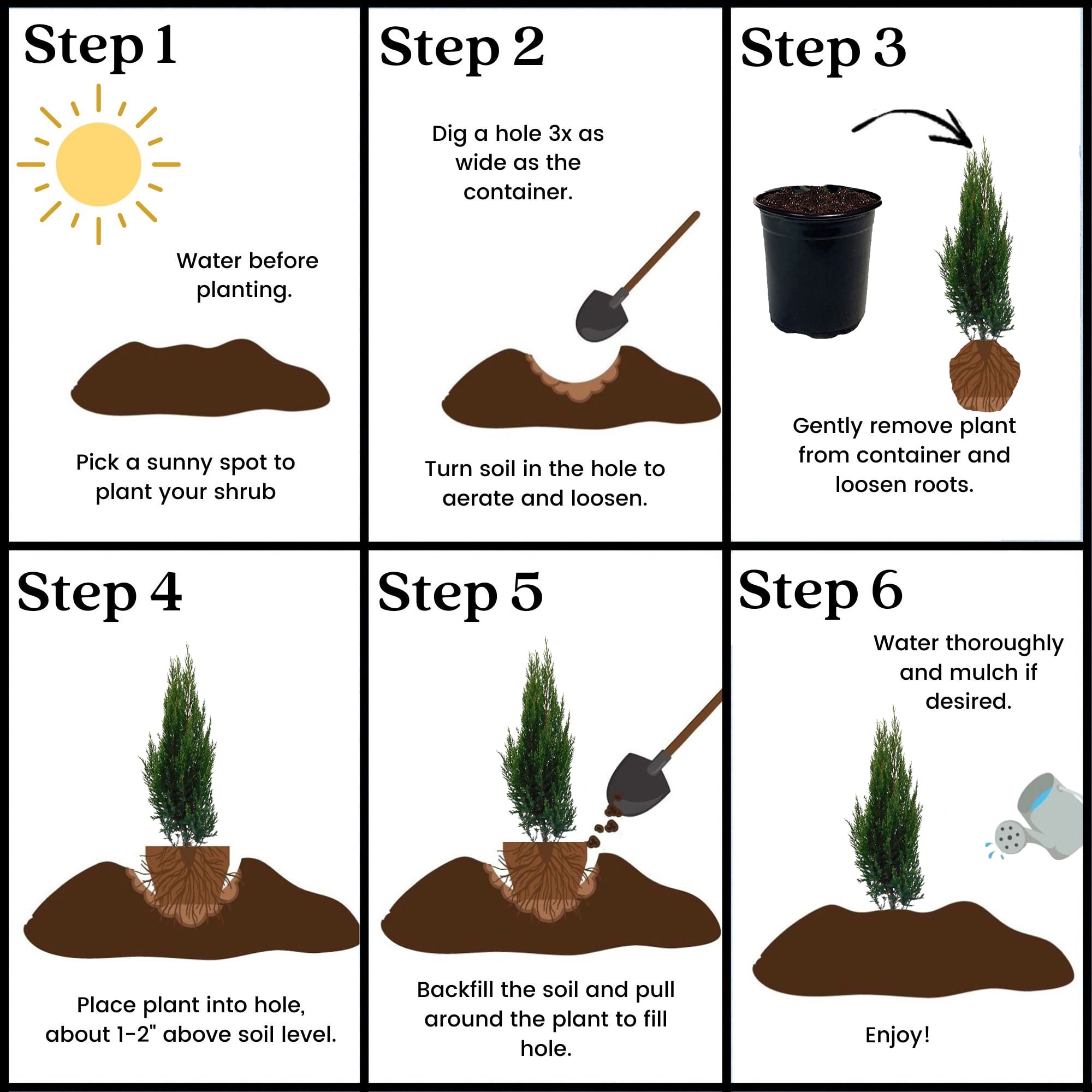 Expert Gardener Blue Point Juniper Live Shrub