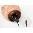 thumbnail image 4 of Bombillas de sal OHLGT, 15 W, paquete de 6, enchufe E12, 110-120 V, 4 of 7