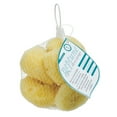 thumbnail image 5 of Neptune Sea Silk Sponge 6 pack, Small, Hand Cut, Approx. 1-2 inches, 5 of 7