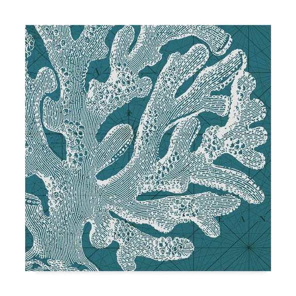 Trademark Fine Art 'Coastal Menagerie II' Canvas Art by Vision Studio