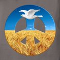 thumbnail image 3 of CafePress - Peace In Ukraine Women's Comfort Colors® T Shirt - Womens Comfort Colors® Shirt, 3 of 4
