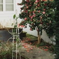 thumbnail image 4 of Garden Climbing Vine Flower Rack Clematis Rose Balcony Climbing Bracket, 4 of 16