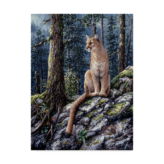 Trademark Fine Art 'King Of The Forest' Canvas Art by Jeff Tift