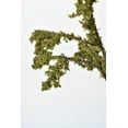 thumbnail image 6 of 25" Faux Moss Twig Branch Stem, 6 of 6
