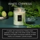 thumbnail image 2 of Voluspa Candle Ciprés Blanco - Grande 18 oz Voluspa Vela 18 oz, 2 of 6