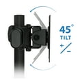 thumbnail image 2 of FreeSTDing Dual MNTR Dk STD, 2 of 11