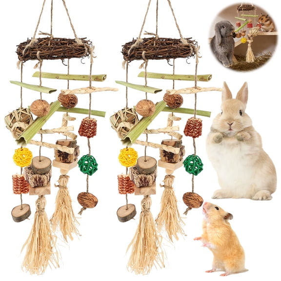 Threns Bunny Chew Toys for Teeth,Hanging Chewing Toy and Treat for Guinea Pig Chinchilla Hamster Rat and Other Small Pet Teeth Grinding,2Pcs