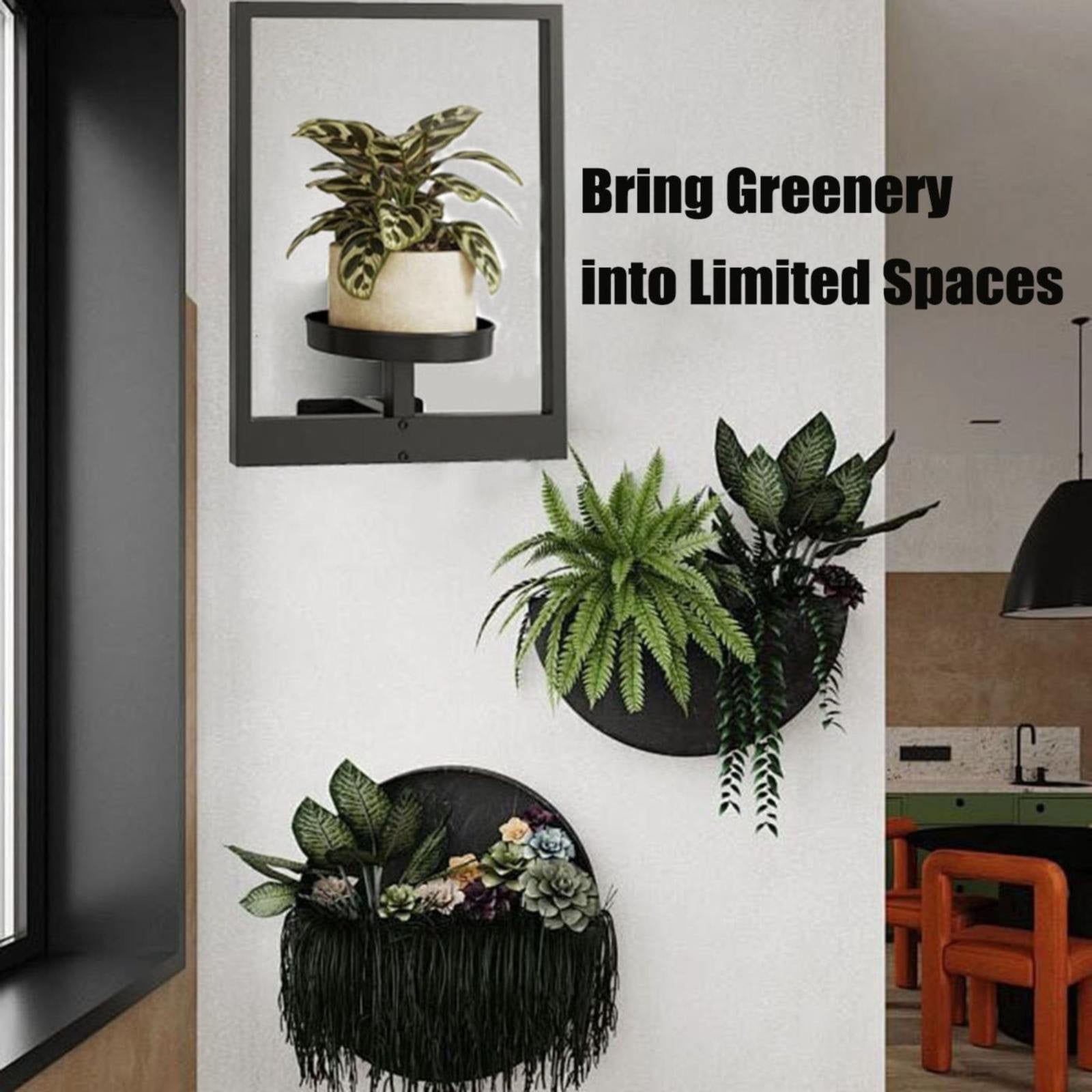 BKBP Picture Frame Wall Plant Holder Window Plant Shelf Wall Hanging Planters for Indoor Plants Plant Hanger Outdoor Wall-Mounted Plant Rack Black Metal Wall Decor (30x40cm, Pot Not Included)