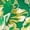 W-619 Lime Green, variant on Women V Neck Beach Happy Festival Gift Dresses for Women Spaghetti Strap Off Flower Print Boho Hawaiian Tie Knot Tropical Maxi Long Fall Summer 2026