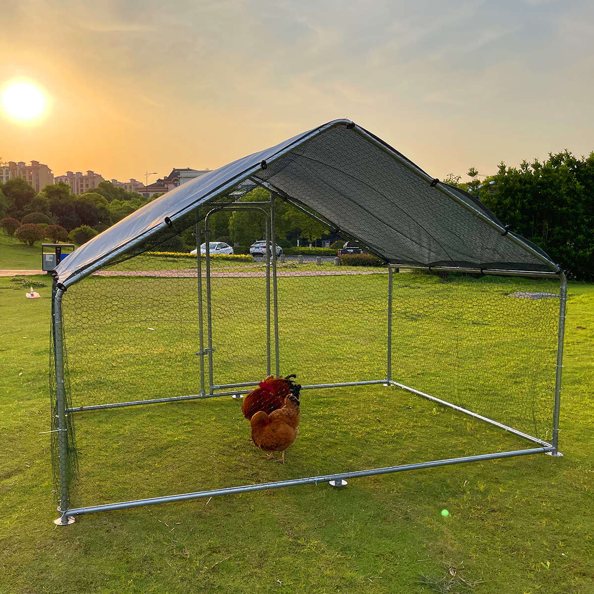 Coops & Cages Walk in Chicken Run Heavy Duty Galvanised cage for Pets