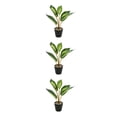 thumbnail image 2 of Plantas falsas bajo mantenimiento Toystoory ABS tortuga en maceta hojas artificiales para el hogar Oficina sala de estar JH5476 Type1 NO1, 2 of 6