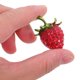 thumbnail image 5 of Moluckfu Pin De Fresa Con Único Y Atractivo Para Complementar Atuendos, 5 of 6