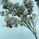 thumbnail image 4 of Plantas Artificiales Macetas Decorativas Bonsai Hogar brillar  Electrónica, 4 of 5