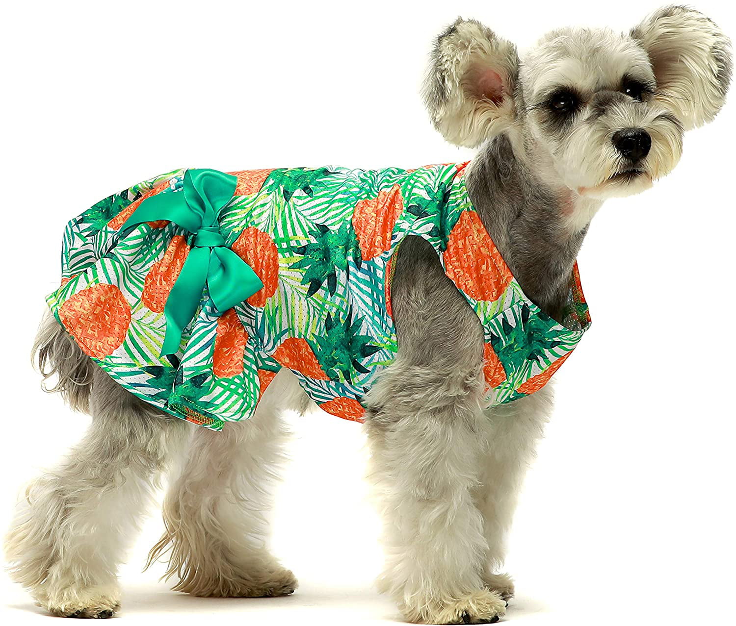 Fitwarm Vintage Plaid Pet Dress Rhinestone Dog Wedding Clothes Puppy Shirt Vest 