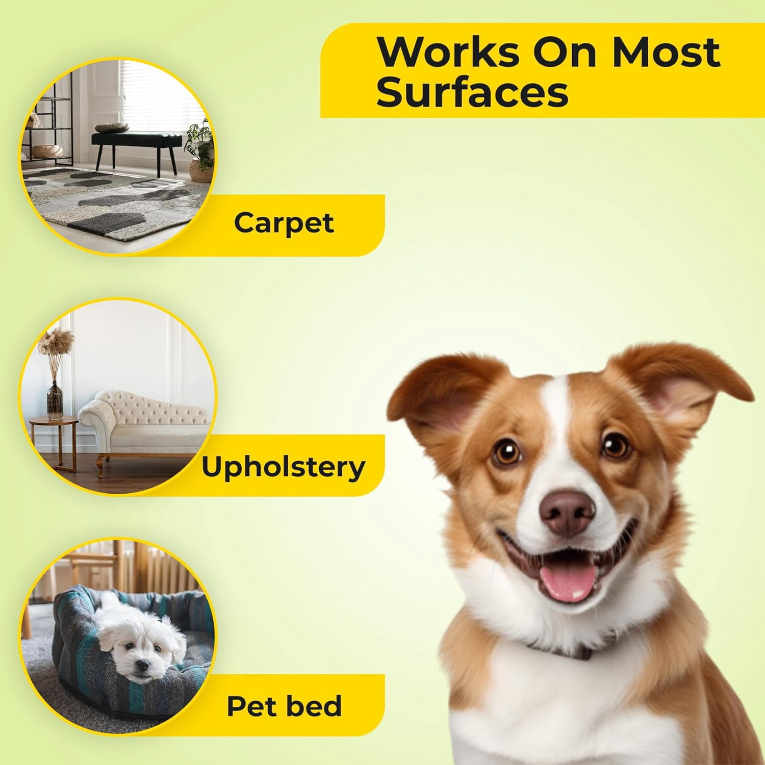 Aroma song Carpet Deodorizer Powder, Pet Odor Eliminator, Baking Soda Carpet Freshener, Pet Safe, Citrus Scent