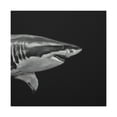thumbnail image 4 of Great White Shark Rampage - Canvas, 4 of 25