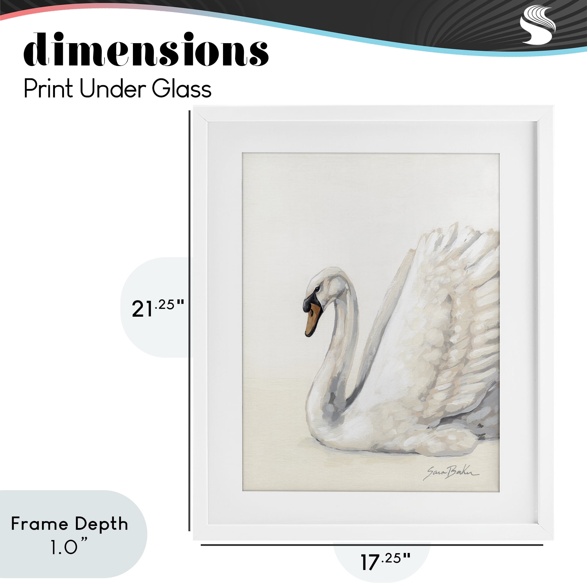 Stupell Industries White Swan in Repose White Framed Print Under Glass, design by Sara Baker