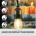 thumbnail image 3 of Newhouse Lighting Outdoor String Lights, Commercial Grade LED Hanging Lights, 25-Feet, 9 Light Bulbs Included (1 Free!), 3 of 6