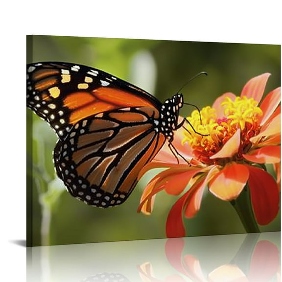 Shiartex  Butterfly Canvas Wall Art |Canvas Wall Art Print Designs | Modern Artwork for Living Room Decor Gift (Monarch Butterfly, 20x16 in/16x12 in) 20x16in