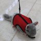 thumbnail image 5 of M Campana de arnés para mascotas pequeñas, chaleco acolchado cómodo sin tirones, nailon duradero, Guinea P, 5 of 5