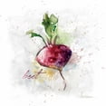 thumbnail image 3 of Robinson, Carol 15x15 Black Modern Framed Museum Art Print Titled - Veggie Beet, 3 of 5