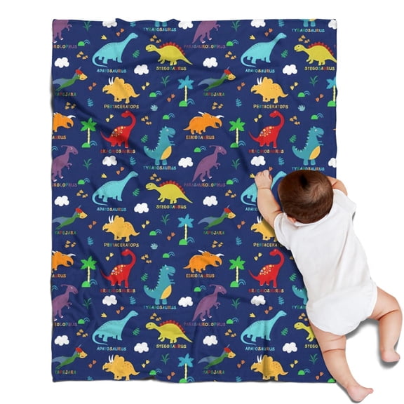 Colorful Dinosaurs Names Palms Clouds Pattern Blanket,Comfortable Soft Lamb Wool Throw Blanket,All Season,Warm Lightweight Blankets for Sofa Bed Couch Living Room Chair,30"x40"