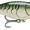 Olive Green Craw, variant on Rapala Shad Rap 07 Crankbait Fishing Lure 2.75" 5/16 oz Live Pumkinseed