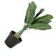 thumbnail image 2 of Cateissary Árbol tropical falso verde con bajo mantenimiento y hoja de imitación ecológica para interiores o exteriores Decoración Plátano, 2 of 6