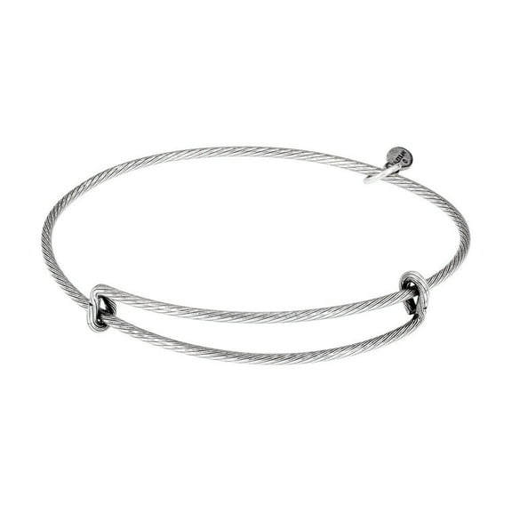 Alex And Ani Single EWB with Recycle Tab Russian Silver Finish Bracelet A09EB200RST