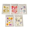 thumbnail image 2 of Pressed Flowers, 100 Pcs Resin Flowers for Resin Mold, Assorted Styles Pressed Flowers Dried Flower Kit for Scrapbooking Supplies Card Making Supplies, 2 of 7