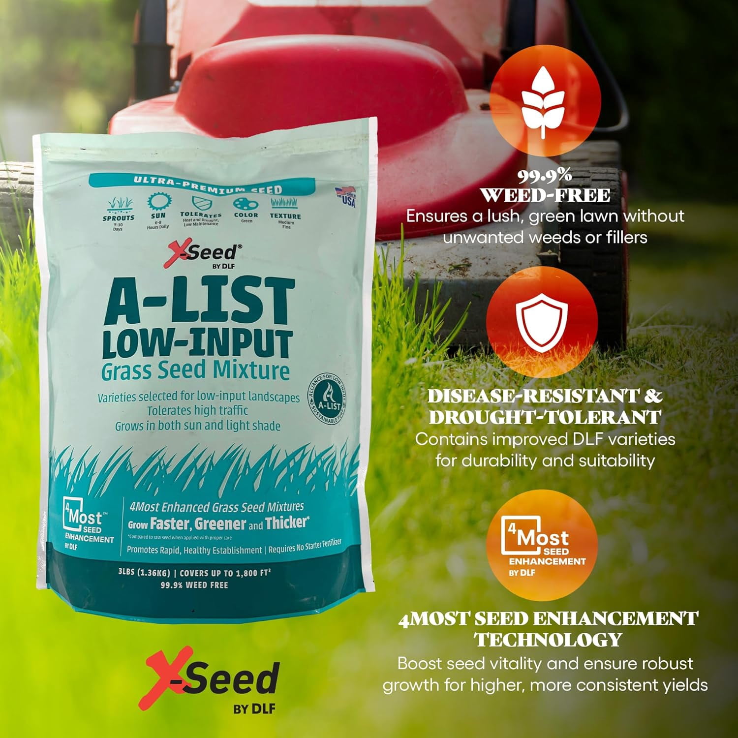 A-List Low Input Mixture Lawn Seed - Premium Grass Seeds for Lawn Repair Over Seeding and Thickening Ideal for Low Maintenance Drought-Resistant Lawn for High Traffic Sun and Light Shade Mix,3Pounds