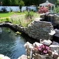 thumbnail image 2 of Pond Shield Black Epoxy Pond Seal Paint 1.5 Quart, 2 of 5