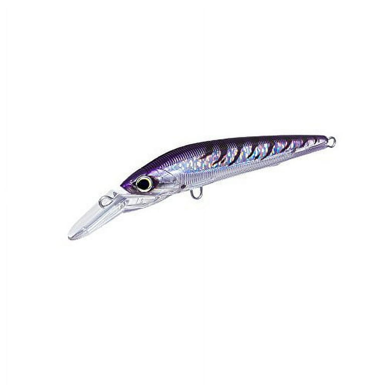 Yo-Zuri Fishing Lure R1165CPBN 3D Magnum DD Deep Diving Lure 7