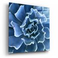 thumbnail image 2 of Epic Art 'Ruffled Edges' by Jan Bell Acrylic Glass Wall Art, 12"x12", 2 of 6