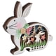 thumbnail image 1 of Conejo de Pascua de madera, boj Natural, conejo de madera de Pascua con luces LED, decoración de conejo de Pascua, luz cálida, conejito de Pascua, 1 of 14