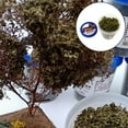 thumbnail image 4 of kusrkot 23g/Box Artificial Grass Powder, Fake Grass Fairy Garden Miniatures Clay Sandbox, 4 of 8
