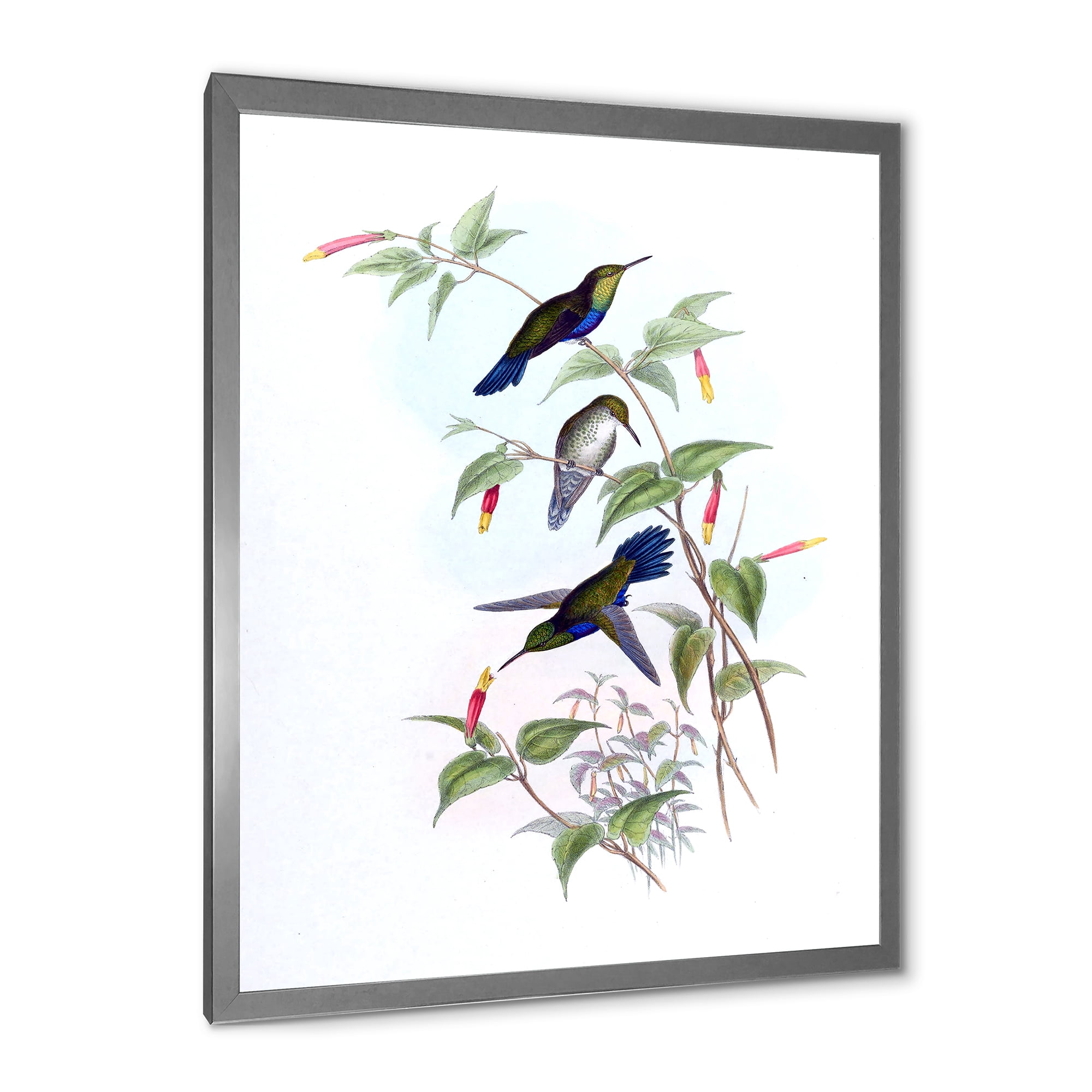 Designart 'Ancient Hummingbird I' Traditional Framed Art Print