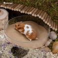thumbnail image 3 of Arena de baño Niteangel Hamster Desert para mascotas pequeñas, 2,7 kg, 3 of 6