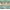 Teal/Brown, variant on MeyJey Kitchen Rug Anti-Fatigue Mat Set for Kitchen, 2 Piece Non-Slip Waterproof Comfort Cushioned Floor Mats 20"x31.5" 20"x59" Teal/Brown