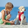 thumbnail image 3 of PoyPet Reflective Dog Harness,Soft Breathable Mesh Pet Harness Choke-Free Double Padded Vest with Adjustable Neck and Chest,Red M, 3 of 8