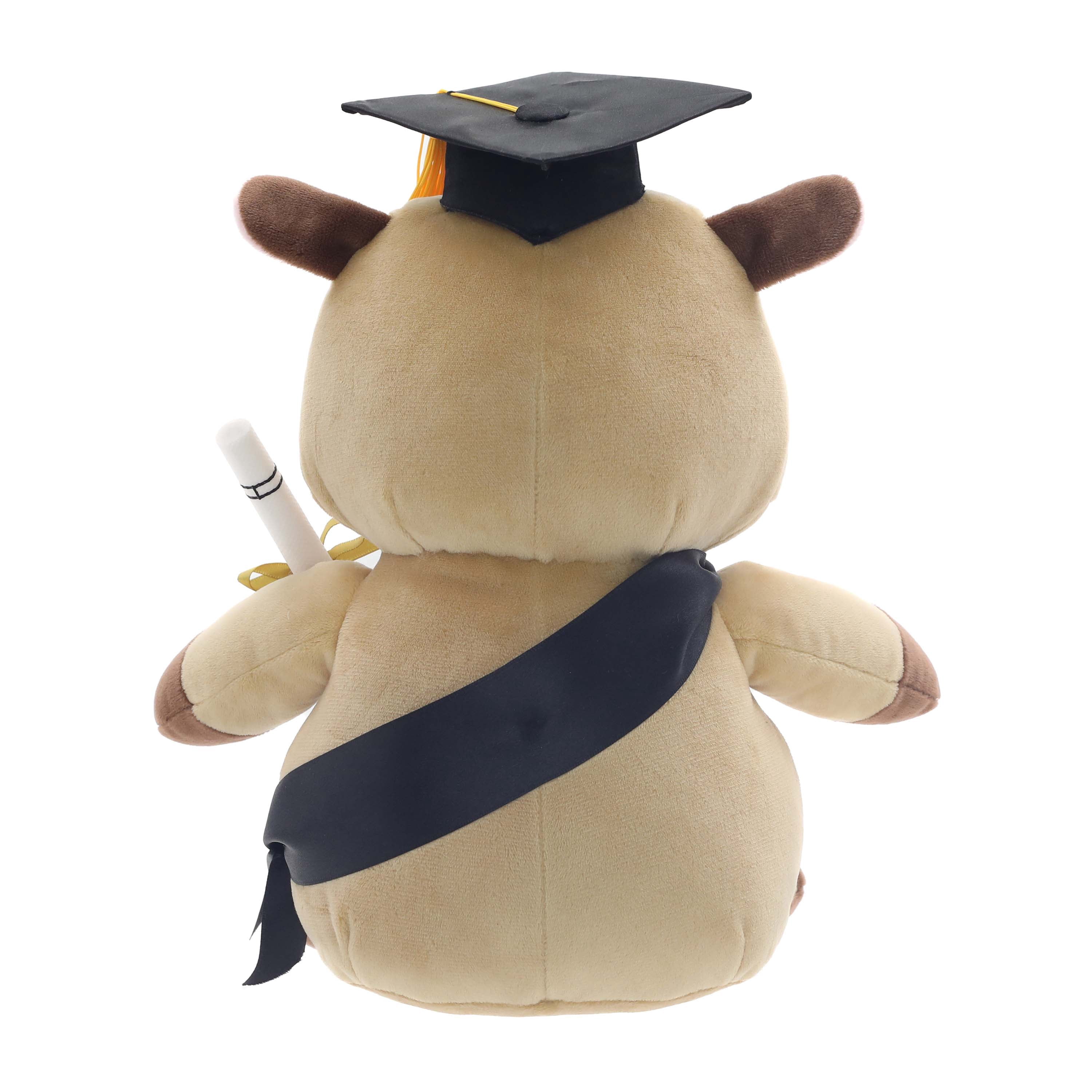 Class of 2026 Graduation Capybara Plush in Gift Box by Way to Celebrate